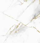 Background | Rejuva Dermatology in Venice, FL