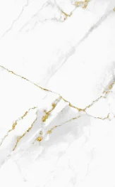 Background | Rejuva Dermatology in Venice, FL